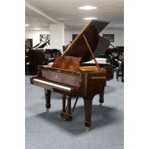 Steinway & Sons Flügel, M170, Wurzelholz, gebraucht, Bj. 1917
