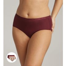 Playtex-Lot de 3 culottes taille midi prune, imprimé et terracotta Coton Bio