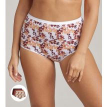 Playtex-Lot de 3 culottes taille haute prune, imprimé et terracotta Coton Bio-42