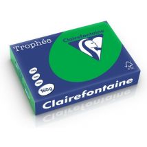 Clairefontaine Biljartgroen A4 Gekleurd papier 160 grams (250 vel)