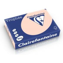 Clairefontaine Zalm A4 Gekleurd papier 160 grams (250 vel)