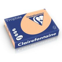 Clairefontaine Abrikoos A4 Gekleurd papier 160 grams (250 vel)