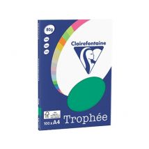 Clairefontaine Dennengroen A4 Gekleurd papier 80 grams (100 vel)
