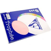 Clairefontaine Roze A4 Gekleurd papier 80 grams (100 vel)