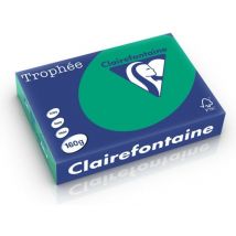 Clairefontaine Dennengroen A4 Gekleurd papier 160 grams (250 vel)