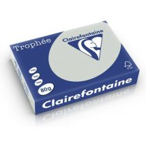 Clairefontaine Lichtgrijs A4 Gekleurd papier 80 grams (500 vel)