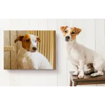 Pet Canvas Prints - Perfect For Pet-Lovers - Custom Wall Art