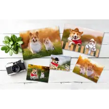 Customised Photo Prints - Preserve Your Pet's Best Moments