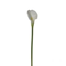 Tige Calla Artificielle Crème L78 Cm