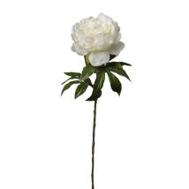 Pivoine Artificielle Crème 60 Cm
