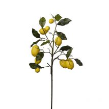 Branche De Citronnier Artificiel 70 Cm