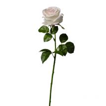 Tige Rose Artificielle Rose 66 Cm