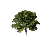 Plante Grasse Artificielle Verte 23,5 Cm
