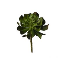 Plante Grasse Artificielle Verte 15 Cm