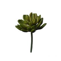 Plante Grasse Artificielle Verte 11 Cm