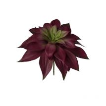 Plante Grasse Artificielle Bordeaux 19 Cm