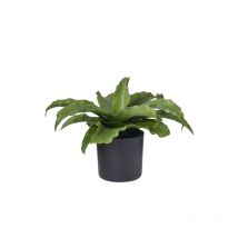 Plante Grasse Artificielle Verte 28 Cm En Pot