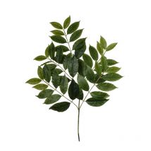 Branche Alloro Artificiel 75 Cm