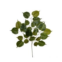 Branche Kiwi Artificiel 75 Cm