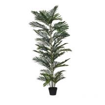 Palmier Kentia Artificiel Vert 179 Cm
