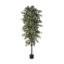 Ficus artificiel varié 240 cm