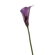 Tige Calla Artificielle Violette 11*11*72 Cm