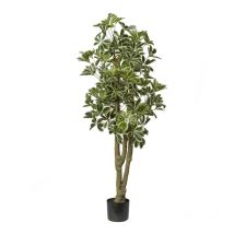 Schefflera Artificiel Varié 150 Cm