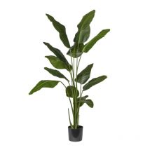 Strelitzia Artificielle 180 Cm