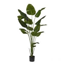 Strelitzia Artificielle 210 Cm