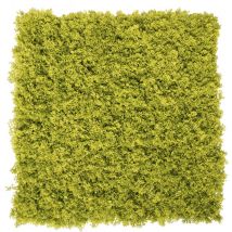 Plaque De Lichen Artificiel Vert 50x50cm Anti-uv Pour Mur Végétale