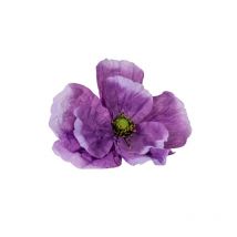 Anémone Artificielle Géante Xxl 80 Cm Violette Imperméabilisée