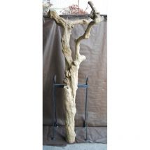 Tronc en bois naturel sans feuilles n 1 h 225 cm