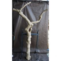 Tronc en bois naturel sans feuilles N 4 H 210 CM