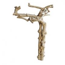 Tronc en bois naturel sans feuilles n 6 h 190 cm