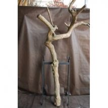 Tronc en bois naturel sans feuilles N 7 H 220 CM