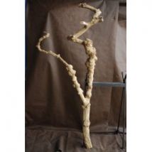 Tronc en bois naturel sans feuilles N 17 H 200 CM