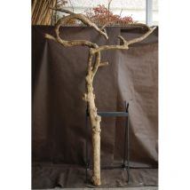 Tronc en bois naturel sans feuilles N 19 H 230 CM