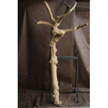 Tronc en bois naturel sans feuilles N 21 H 210 CM