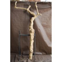 Tronc en bois naturel sans feuilles N 23 H 220 CM