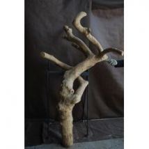 Tronc en bois naturel sans feuilles N 29 H 180 CM