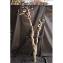 Tronc en bois naturel sans feuilles N 37 H 230 CM
