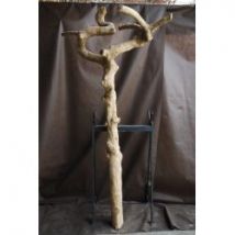 Tronc en bois naturel sans feuilles N 38 H 220 CM