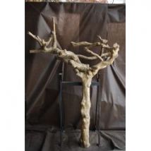 Tronc en bois naturel sans feuilles N 40 H 200 CM