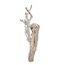 Tronc en bois naturel sans feuilles n 47 amalfi h 230 cm sandblasted
