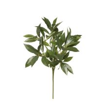 Branches De Laurier Doux Avec 74 Feuilles, 45 Cm Sac De 3 Pièces Artificiel Rouge