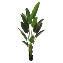 Plante oiseau de paradis avec 13 feuilles dans un pot en plastique ø 19 cm, h 17,5 cm, 210 cm artificiel rouge