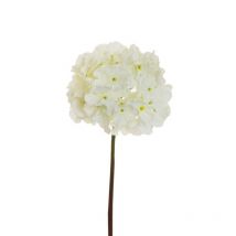 Hortensia Souple Candy, Tête Ø 22 Cm Avec Tube En Pvc, 60 Cm Artificielle Blanc