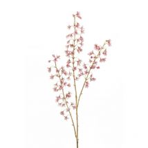 Asphodelus Longue Branche Avec Paillettes Biodégradables Sur Pistils Métalliques Et Tige Métallique, Collection Grace, 112 Cm A