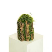 Cortex moyen avec mousse douce, ø 17 cm, h 26 cm chaque pièce dans un sac en polyéthylène artificiel