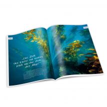 Mondberge Algen Artikel